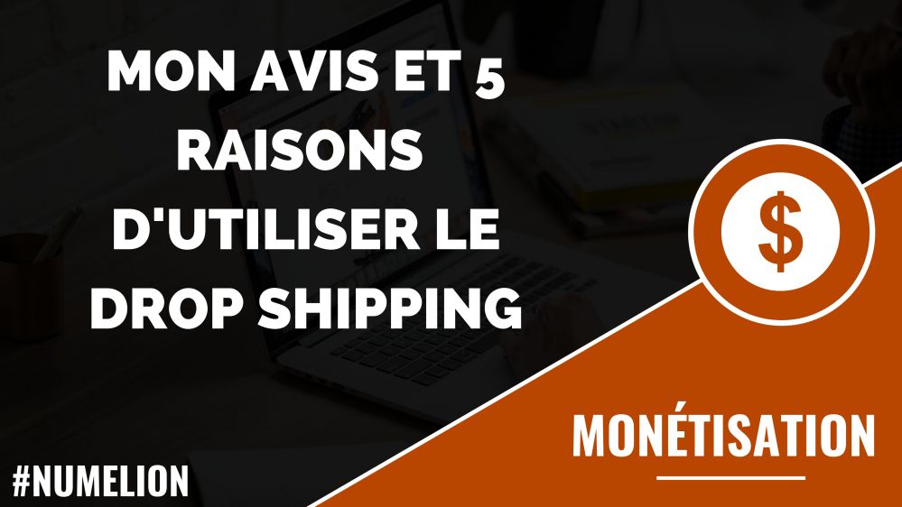 Mon avis sur le Drop Shipping Mon avis sur le Drop Shipping