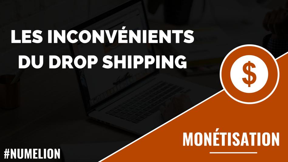 Les inconvénients du Drop Shipping Les inconvénients du Drop Shipping